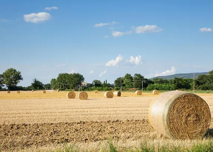 Apartment Demetra Papiano